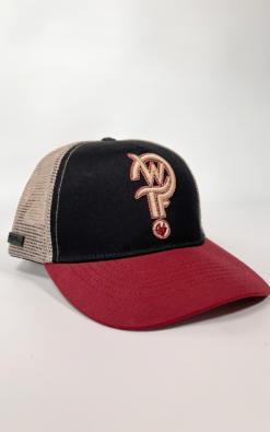 Gorra Trucker Bordado Premium